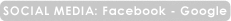 InformativosNet Social Gadgets