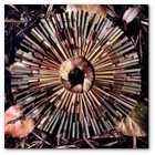 :: Pulse para Ampliar :: Mandala Sikkin&rdquo;. (2008).  Foto composici&oacute;n sobre papel fuji del observador y artista de la naturaleza Juan Schlosser.