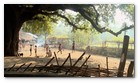 :: Pulse para Ampliar :: Captura del v&iacute;deo documental de Survival sobre los Dongria kondh: uno de los pueblos ind&iacute;genas m&aacute;s remotos de la India en lucha por evitar que su monta&ntilde;a sagrada sea convertida en una mina descubierta propiedad de Vedanta.