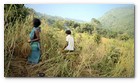 :: Pulse para Ampliar :: Captura del v&iacute;deo documental de Survival sobre los Dongria kondh: uno de los pueblos ind&iacute;genas m&aacute;s remotos de la India en lucha por evitar que su monta&ntilde;a sagrada sea convertida en una mina descubierta propiedad de Vedanta.