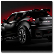 :: Pulse para Ampliar :: El Juke-R ha sido creado en Gran Breta&ntilde;a, desarrollado por Nissan y construido  por el equipo de competici&oacute;n RML con el apoyo del Centro T&eacute;cnico de Nissan en  Europa (NTC-E).