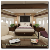 Boeing 787 VIP Interior Concept