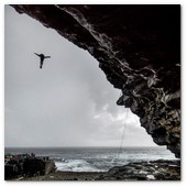 :: Pulse para Ampliar :: Michal Navratil of the Czech Republic dives from the 28 metre platform during the second round of the fourth stop of the Red Bull Cliff Diving World Series, Inis Mor, Aran Islands, Ireland on August 3rd 2012.