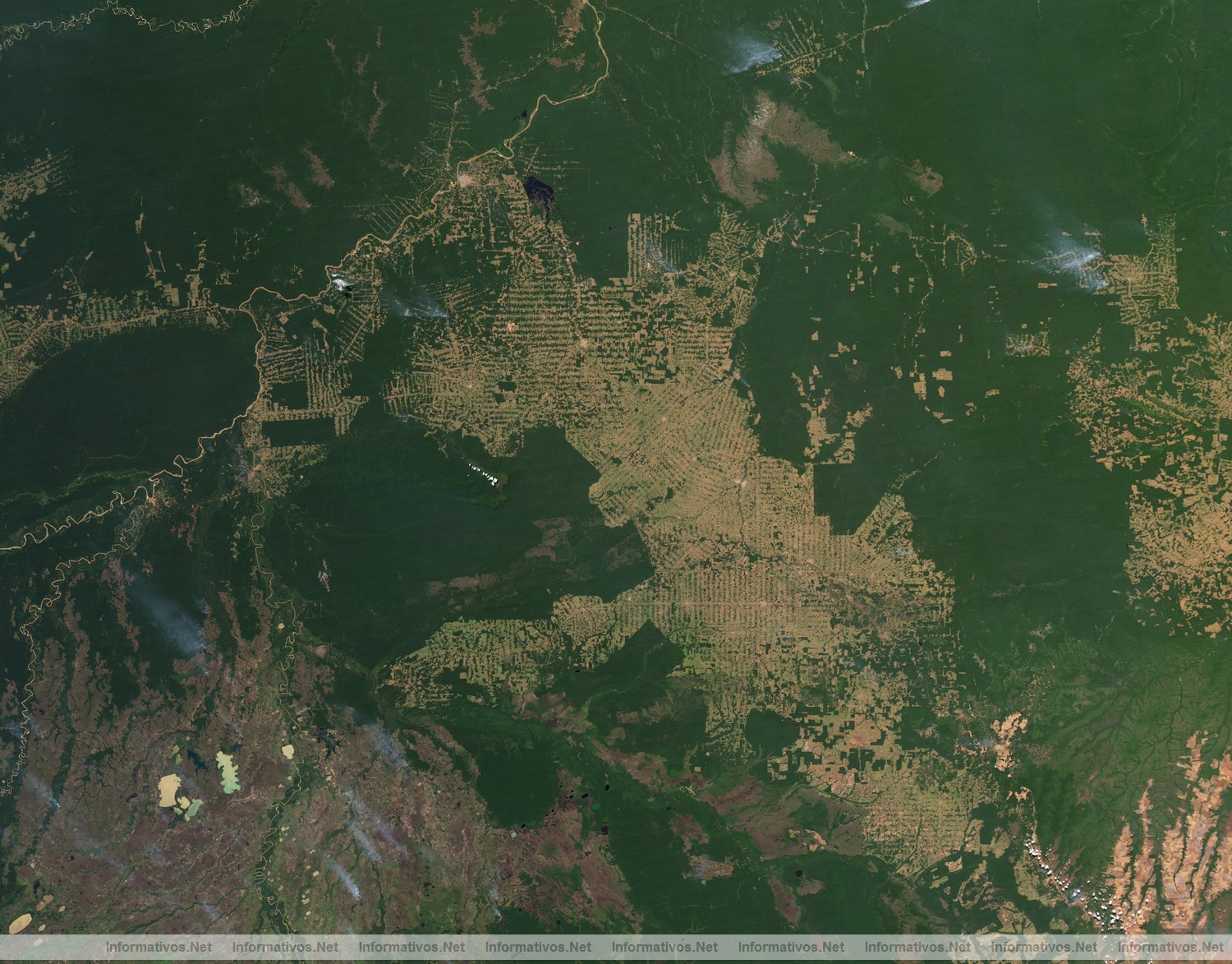 Deforestaci�n del Amazonas: Foto de 2009