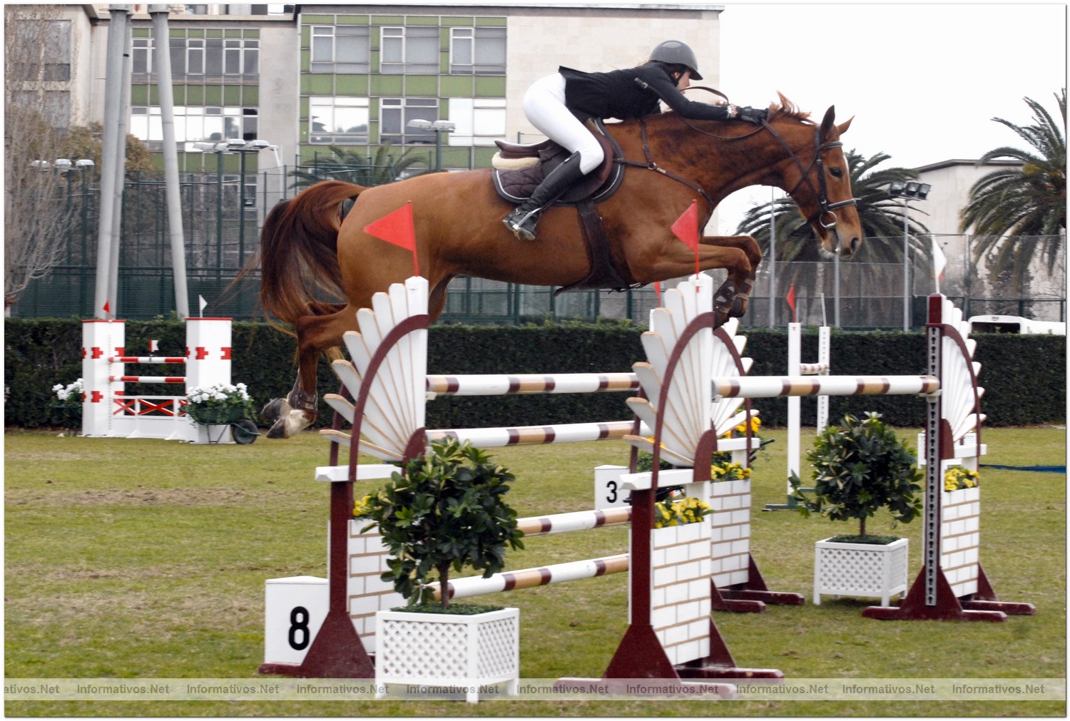 Concurso de Saltos nacional Real Club de Polo de Barcelona 29 - 31 de enero: Cristina Buti ganadora del Gran Premio