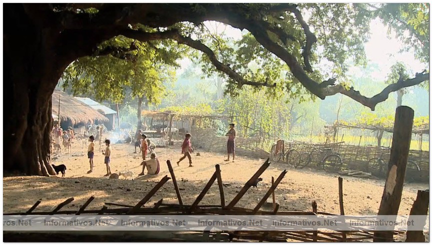 Captura del v�deo documental de Survival sobre los Dongria kondh: uno de los pueblos ind�genas m�s remotos de la India en lucha por evitar que su monta�a sagrada sea convertida en una mina descubierta propiedad de Vedanta.