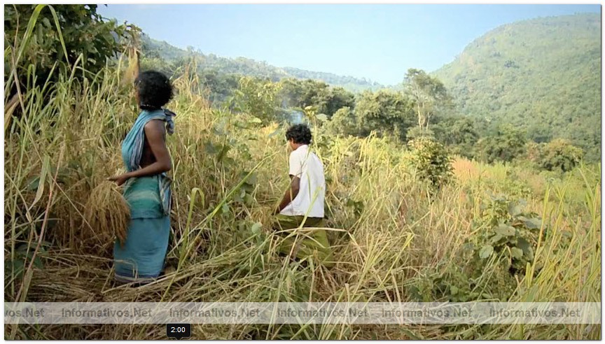 Captura del v�deo documental de Survival sobre los Dongria kondh: uno de los pueblos ind�genas m�s remotos de la India en lucha por evitar que su monta�a sagrada sea convertida en una mina descubierta propiedad de Vedanta.