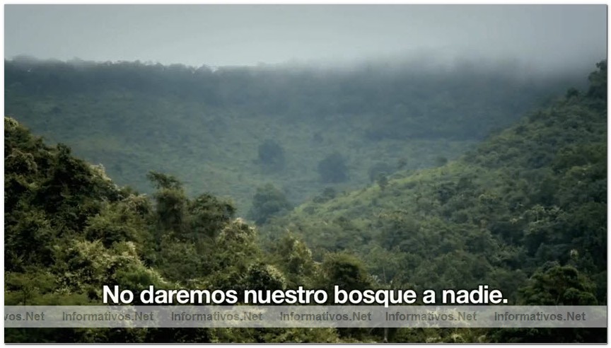 Captura del v�deo documental de Survival sobre los Dongria kondh: uno de los pueblos ind�genas m�s remotos de la India en lucha por evitar que su monta�a sagrada sea convertida en una mina descubierta propiedad de Vedanta.