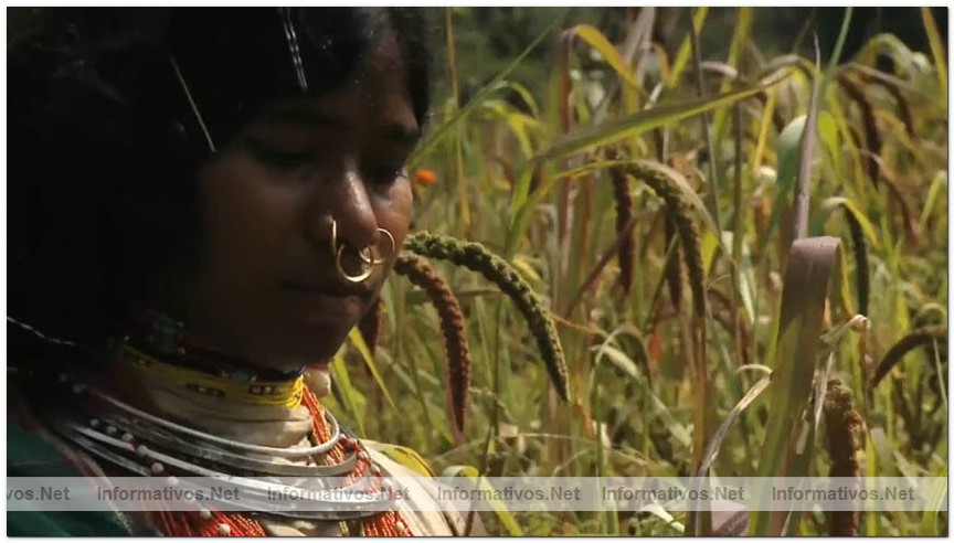 Captura del v�deo documental de Survival sobre los Dongria kondh: uno de los pueblos ind�genas m�s remotos de la India en lucha por evitar que su monta�a sagrada sea convertida en una mina descubierta propiedad de Vedanta.